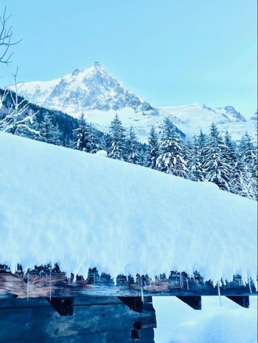 Le Chalet Georges Chamonix Zewnętrze zdjęcie